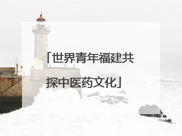 世界青年福建共探中医药文化