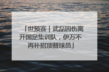 世预赛｜武磊因伤离开国足集训队，伊万不再补招顶替球员