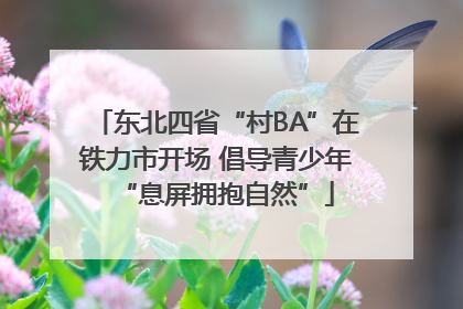 东北四省“村BA”在铁力市开场 倡导青少年“息屏拥抱自然”