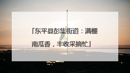 东平县彭集街道：满棚南瓜香，丰收采摘忙