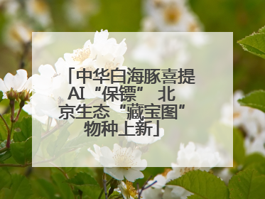 中华白海豚喜提AI“保镖” 北京生态“藏宝图”物种上新