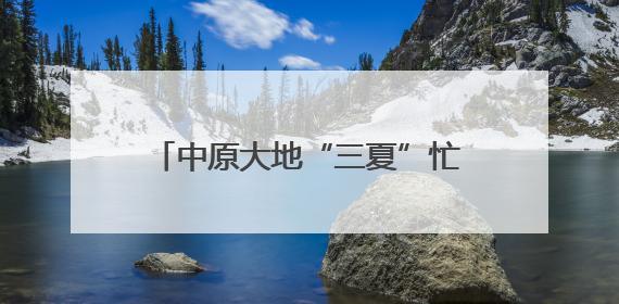 中原大地“三夏”忙丨机收运输畅行无阻 金粒归仓保障有力