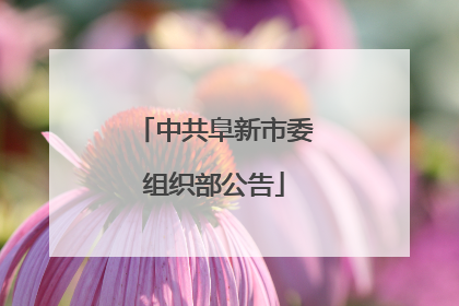 中共阜新市委组织部公告