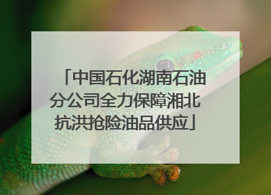 中国石化湖南石油分公司全力保障湘北抗洪抢险油品供应