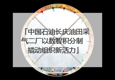 中国石油长庆油田采气二厂以数智积分制 撬动组织新活力