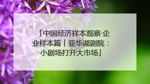 中国经济样本观察·企业样本篇︱亚华湖剧院：小剧场打开大市场