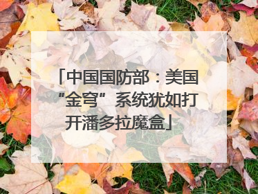 中国国防部：美国“金穹”系统犹如打开潘多拉魔盒