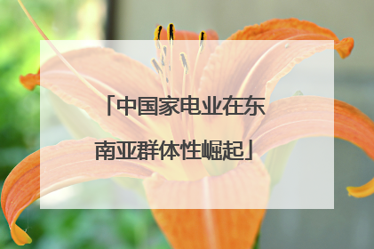 中国家电业在东南亚群体性崛起