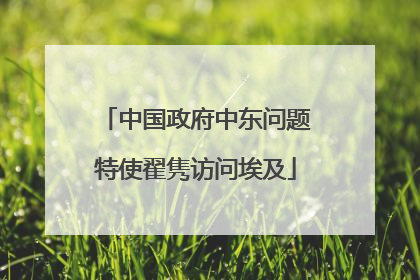 中国政府中东问题特使翟隽访问埃及