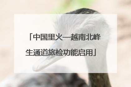 中国里火—越南北峰生通道旅检功能启用