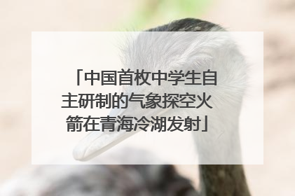 中国首枚中学生自主研制的气象探空火箭在青海冷湖发射
