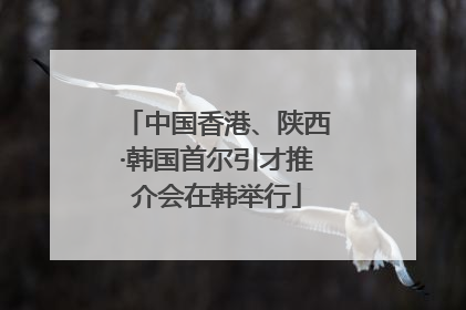 中国香港、陕西·韩国首尔引才推介会在韩举行
