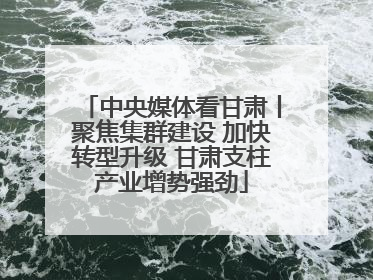 中央媒体看甘肃丨聚焦集群建设 加快转型升级 甘肃支柱产业增势强劲
