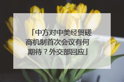 中方对中美经贸磋商机制首次会议有何期待？外交部回应