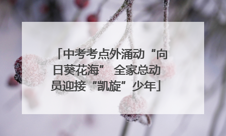 中考考点外涌动“向日葵花海” 全家总动员迎接“凯旋”少年