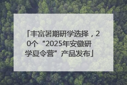 丰富暑期研学选择，20个“2025年安徽研学夏令营”产品发布