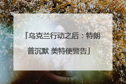 乌克兰行动之后：特朗普沉默 美特使警告