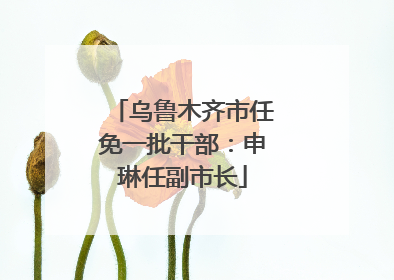 乌鲁木齐市任免一批干部：申琳任副市长