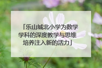 乐山城北小学为数学学科的深度教学与思维培养注入新的活力