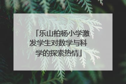 乐山柏杨小学激发学生对数学与科学的探索热情