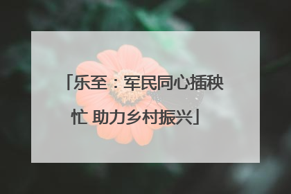 乐至：军民同心插秧忙 助力乡村振兴