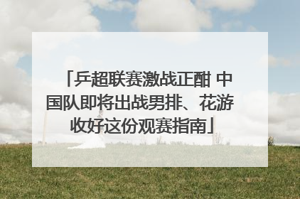 乒超联赛激战正酣 中国队即将出战男排、花游 收好这份观赛指南
