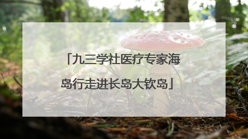 九三学社医疗专家海岛行走进长岛大钦岛