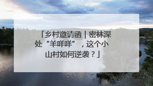 乡村邀请函｜密林深处“羊咩咩”，这个小山村如何逆袭？