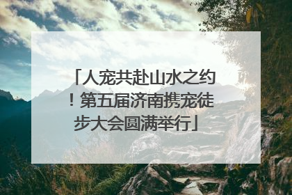 人宠共赴山水之约！第五届济南携宠徒步大会圆满举行