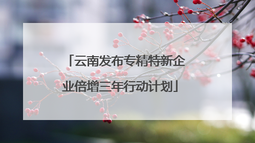 云南发布专精特新企业倍增三年行动计划