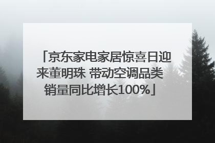 京东家电家居惊喜日迎来董明珠 带动空调品类销量同比增长100%