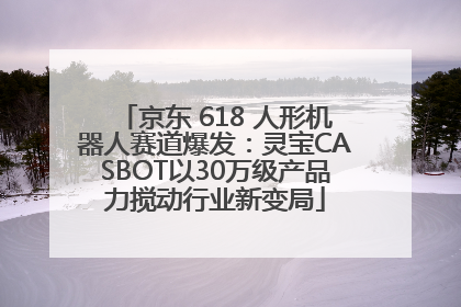 京东 618 人形机器人赛道爆发：灵宝CASBOT以30万级产品力搅动行业新变局