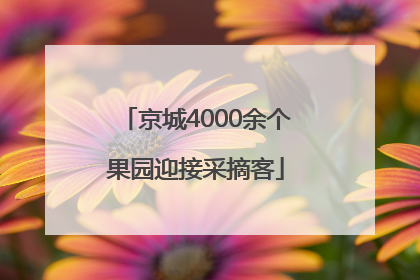 京城4000余个果园迎接采摘客