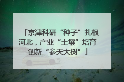 京津科研“种子”扎根河北，产业“土壤”培育创新“参天大树”