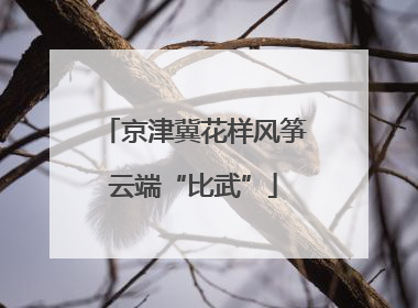 京津冀花样风筝云端“比武”
