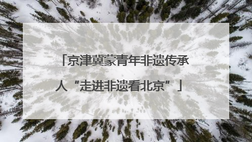 京津冀蒙青年非遗传承人“走进非遗看北京”