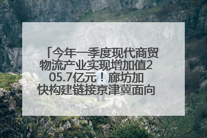 今年一季度现代商贸物流产业实现增加值205.7亿元！廊坊加快构建链接京津冀面向全世界的物流通道