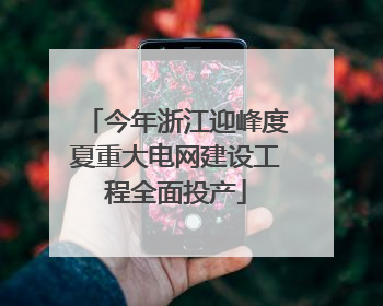 今年浙江迎峰度夏重大电网建设工程全面投产