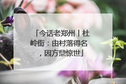 今话老郑州丨杜岭街：由村落得名，因方鼎惊世