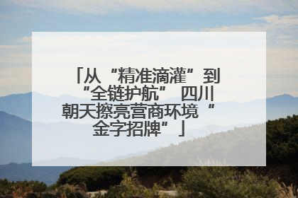从“精准滴灌”到“全链护航” 四川朝天擦亮营商环境“金字招牌”