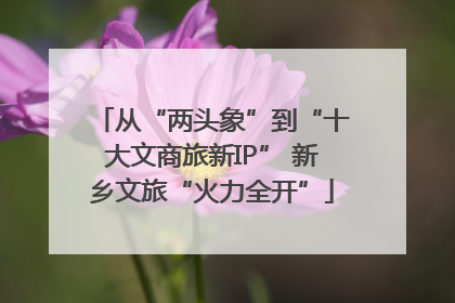 从“两头象”到“十大文商旅新IP” 新乡文旅“火力全开”