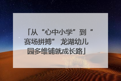 从“心中小学”到“赛场拼搏” 龙湖幼儿园多维铺就成长路