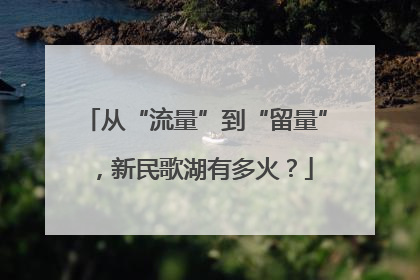 从“流量”到“留量”，新民歌湖有多火？
