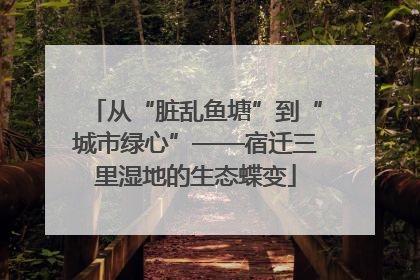 从“脏乱鱼塘”到“城市绿心”——宿迁三里湿地的生态蝶变