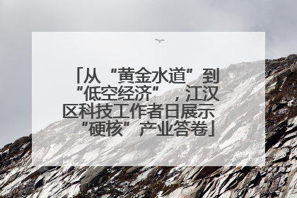 从“黄金水道”到“低空经济”，江汉区科技工作者日展示“硬核”产业答卷