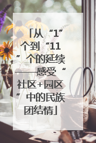 从“1”个到“11”个的延续——感受“社区+园区”中的民族团结情