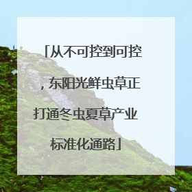 从不可控到可控，东阳光鲜虫草正打通冬虫夏草产业标准化通路
