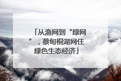 从渔网到“绿网”，蔡甸桐湖网住绿色生态经济
