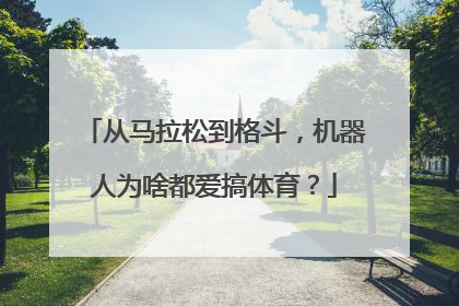从马拉松到格斗，机器人为啥都爱搞体育？