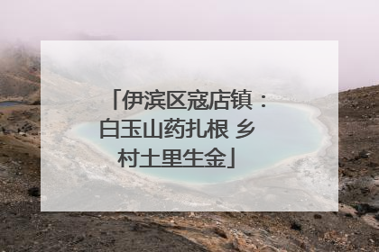 伊滨区寇店镇：白玉山药扎根 乡村土里生金